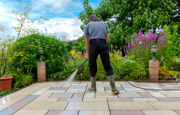 Best Sidewalk and Walkway Pressure Cleaning in Sandwich, IL