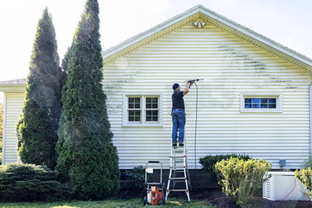 Best Vinyl Siding Pressure Washing in Sandwich, IL